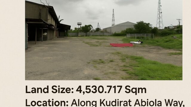 WhatsApp Image 2025-06-20 at 20.36.47