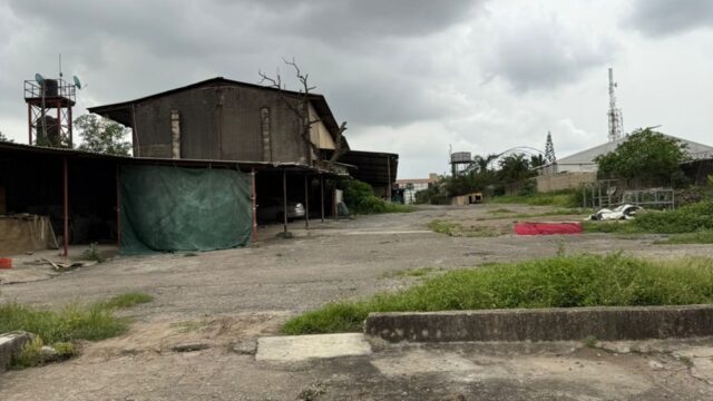 WhatsApp Image 2025-06-20 at 20.36.48 (2)