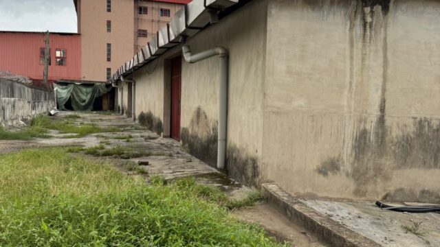 WhatsApp Image 2025-06-20 at 20.36.48