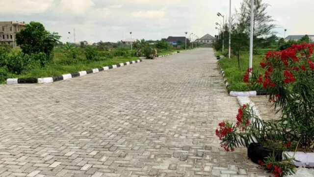 WhatsApp Image 2025-09-16 at 17.45.02 (1)