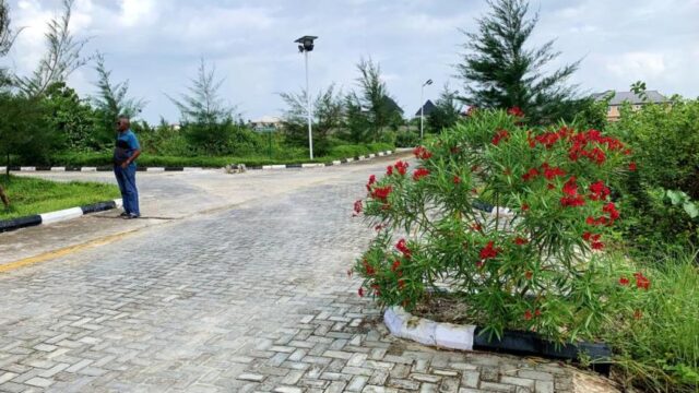 WhatsApp Image 2025-09-16 at 17.45.02 (2)