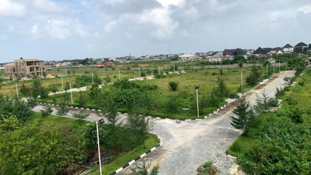 WhatsApp Image 2025-09-16 at 17.45.02